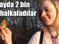 Aras Kuş Halkalama İstasyonunda 7 gönüllü, 2 ayda 2 bin kuş halkaladı