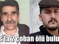 Kars'ta 2 çoban ölü bulundu