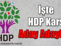İşte HDP Kars Milletvekili aday adayı listesi (HDP'nin milletvekili aday adayları kim?)