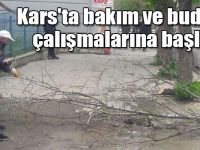 Kars'ta ağaçların bakım ve budama çalışmalarına başladı