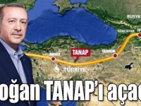 Cumhurbaşkanı Erdoğan TANAP’ı açacak