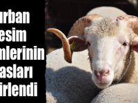 Kurban kesim işlemlerinin esasları belirlendi