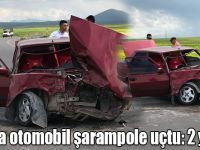 Kars’ta otomobil şarampole uçtu: 2 yaralı