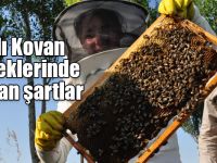 Arılı Kovan Desteklerinde aranan şartlar