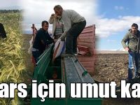 Tritikale tohumları Kars için umut kaynağı oldu