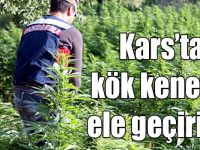 Kars’ta bin 970 adet kök kenevir ele geçirildi