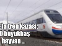 Kars'ta tren kazası: 20 büyükbaş hayvan telef oldu