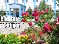 KAÜ'de yeşillendirme devam ediyor
