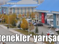 Kars'ta 'yetenekler' yarışacak