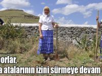 Duhoborlar, Kars'ta atalarının izini sürmeye devam ediyor