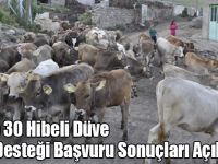 Kars’ta başvuruda bulunan tüm yetiştiricilere düve desteği verilecek