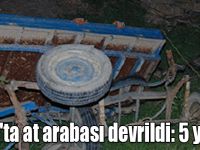 Kars'ta at arabası devrildi: 5 yaralı