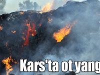 Kars'ta 20 ton ot yandı