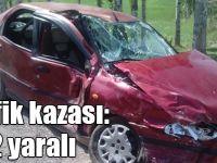 Kars'ta trafik kazası: 2 yaralı