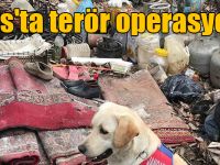 Kars'ta terör operasyonu