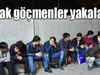Kars'ta 14 kaçak göçmen yakalandı