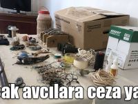 Kars’ta canlı mühre ile avlanan iki kişiye 28 bin lira ceza