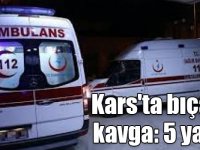 Kars'ta bıçaklı kavga: 5 yaralı