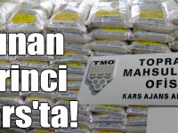 Yunan pirinci Kars'ta!