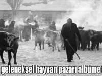Kars'ın geleneksel hayvan pazarı albüme taşındı