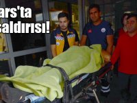 Kars'ta ayı saldırısı!
