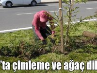 Kars Karayolları refüjlerde çimleme ve ağaç dikimi yapıyor