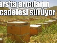 Akın Çiftçi: “Kars’ta arıcılarımız en kaliteli balı üretmek için mücadele veriyorlar”