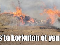 Kars’ta korkutan ot yangını