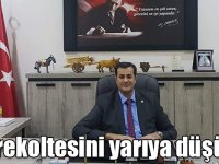 Yağışlar Kars'ta bal rekoltesini yarıya düşürdü