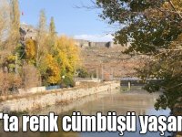 Kars'ta renk cümbüşü yaşanıyor