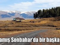 Sarıkamış Sonbahar’da bir başka güzel