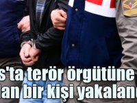 Kars'ta terör örgütüne üye olan bir kişi yakalandı