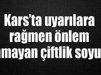 Kars’ta uyarılara rağmen önlem alınmayan çiftlik soyuldu