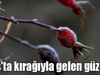 Kars'ta kırağıyla gelen güzellik