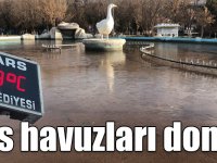 Kars'ta süs havuzları dondu