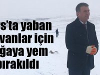 Kars’ta yaban hayvanlar için doğaya yem bırakıldı