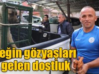 Bir köpeğin gözyaşları ile gelen dostluk