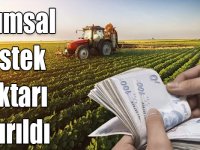 Tarımsal destek miktarı artırıldı