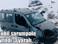 Kars'ta otomobil şarampole devrildi: 3 yaralı