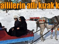 Dubaili turistlerin Cıbıltepe'de atlı kızak keyfi