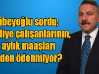 Naif Alibeyoğlu sordu; Belediye çalışanlarının, 2 aylık maaşları neden ödenmiyor?