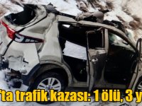 Kars'ta trafik kazası: 1 ölü, 3 yaralı