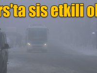 Kars'ta sis etkili oldu