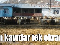 Tüm tarımsal ve hayvansal kayıtlar tek ekranda