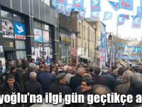 Naif Alibeyoğlu’na ilgi gün geçtikçe artıyor