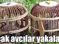 Kars’ta kaçak avcılar canlı mührelerle suçüstü yakalandı