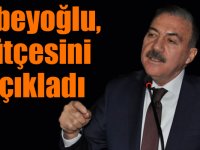 Naif Alibeyoğlu, seçim kampanya bütçesini açıkladı