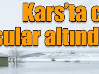 Kars’ta cami sular altında kaldı!