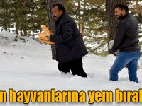 Baharda karla kaplı araziye yaban hayvanları için yem bıraktılar