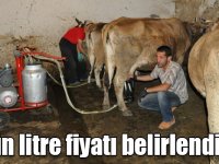 Sütün litre fiyatı 2 TL olarak belirlendi